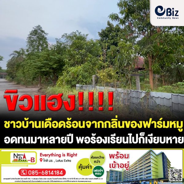 หนองบัวลำภูชาวบ้านเดือดร้อนหนักจากกลิ่นเหม็นของฟาร์มหมูทนทุกข์ทรมานมากว่า 5 ปีร้องเรียนไปแล้วก็เงียบหาย