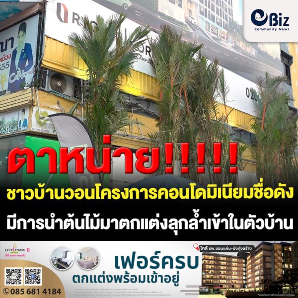 ขอนแก่น สำนักงานขายคอนโดปลูกต้นไม้ลุกล้ำทำรั้วบังร้านจนหยุดกิจการชุดวิวาห์
