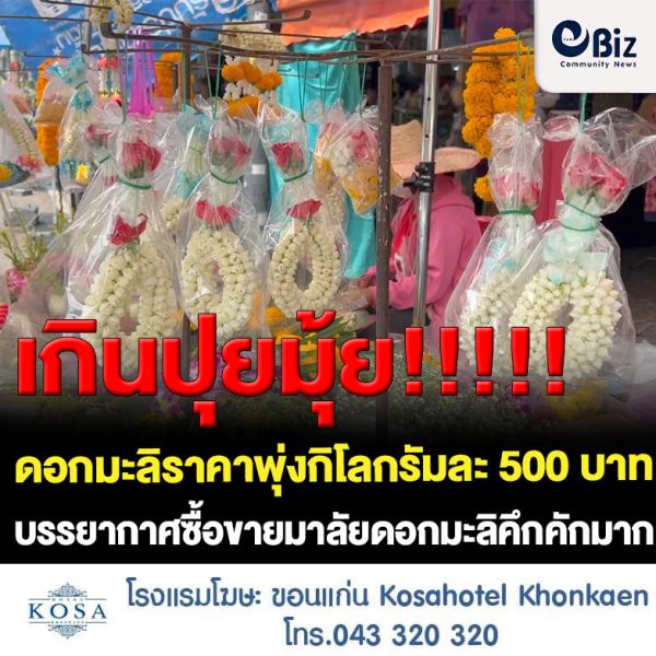 ขอนแก่น มาลัยประดิษฐ์แทนมาลัยมะลินิยม หลังมะลิแพง