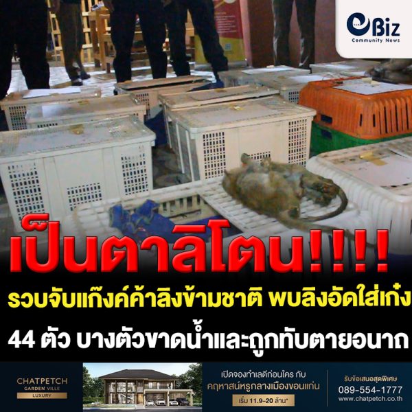 ตำรวจทางหลวงจับแก๊งค์ค้าลิงข้ามชาติ สลดพบลิงแสมอัดใส่เก๋ง 44 ตัว บางตัวขาดน้ำและถูกทับตายอนาถ