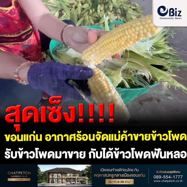 ขอนแก่น อากาศร้อนจัดแม่ค้าขายข้าวโพดสุดเซ็ง!เจอข้าวโพดฟันหลอ
