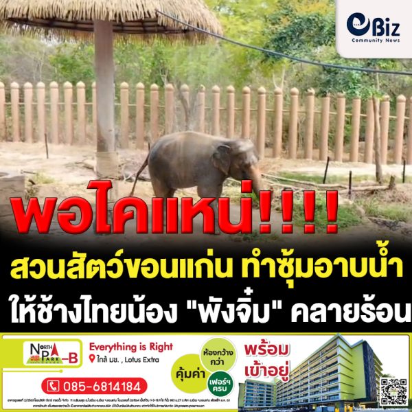 ขอนแก่น ทำซุ้มอาบน้ำให้ช้าง พังจิ๋ม