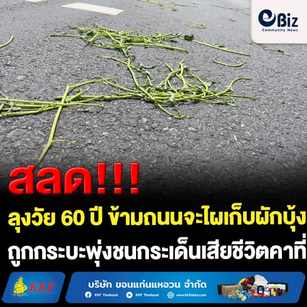 ขอนแก่น ข้ามถนนเก็บผักบุ้งถูกกระบะพุ่งชนเสียชีวิต