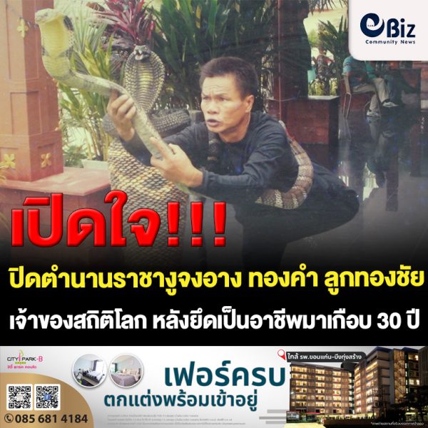 ขอนแก่น ปิดตำนานราชางูจงอาง ทองคำ ลูกทองชัย เจ้าของสถิติโลกจูบงูจงอาง 19 ตัว