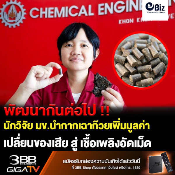 ขอนแก่น ที่แรกของโลก!นักวิจัย มข.นำกากต้นเฉาก๊วย ทำเป็นเชื้อเพลิงอัดเม็ดและตัวดูดซับสารปนเปื้อนได้สำเร็จ !! ขอนแก่น ที่แรกของโลก!นักวิจัย มข.นำกากต้นเฉาก๊วย ทำเป็นเชื้อเพลิงอัดเม็ดและตัวดูดซับสารปนเปื้อนได้สำเร็จ !!