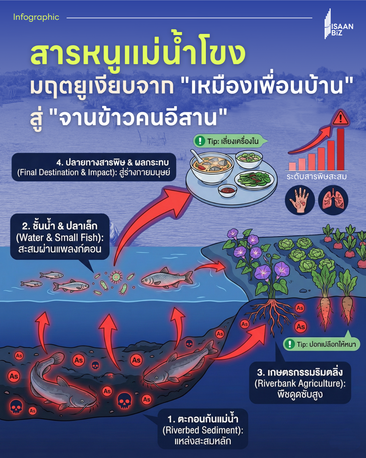 SPECIAL REPORT: สารหนูแม่น้ำโขง: มฤตยูเงียบจาก “เหมืองเพื่อนบ้าน” สู่ “จานข้าวคนอีสาน”