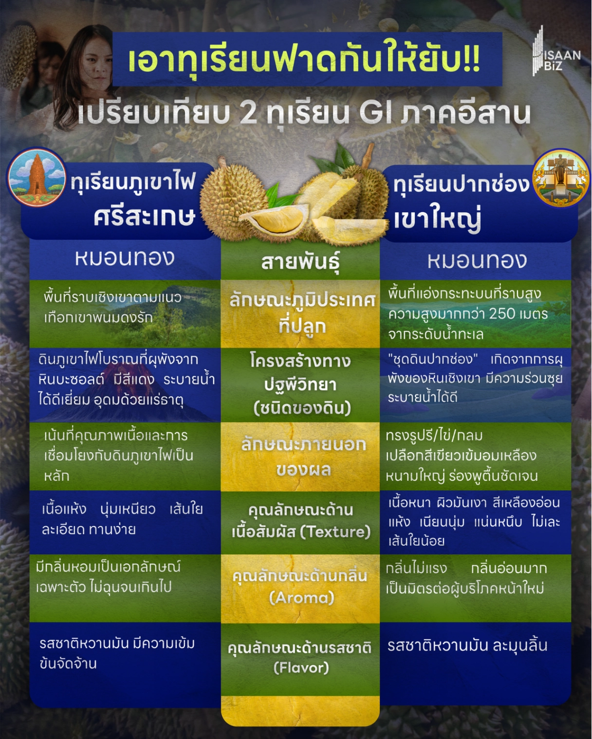 ทุเรียนมาแรง! ชวนรู้จัก 2 ทุเรียน GI อีสาน จากศรีสะเกษ–ปากช่องเขาใหญ่