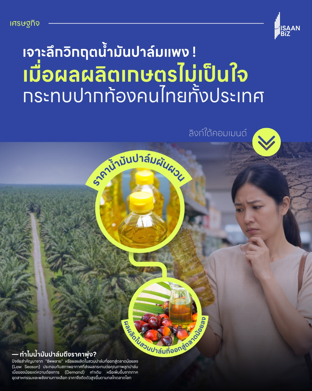 วิกฤตน้ำมันปาล์มแพง! เมื่อผลผลิตเกษตรไม่เป็นใจ กระทบปากท้องคนไทยทั้งประเทศ