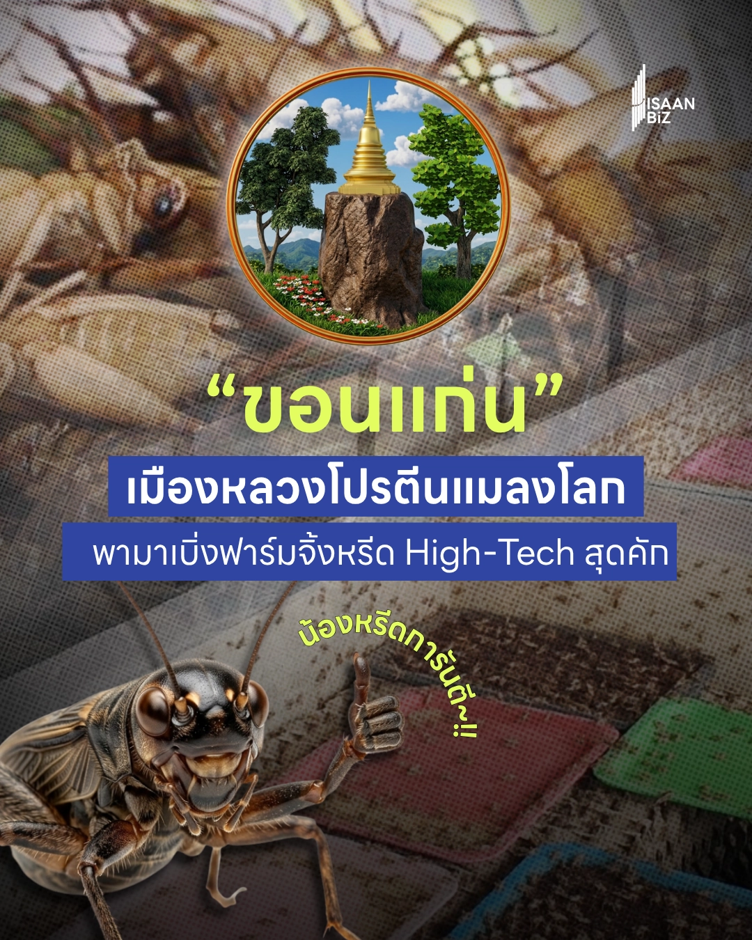 ขอนแก่น: ชวนเปิดประสบการณ์อาหารแห่งอนาคต! แมลงอัจฉริยะ แหล่งโปรตีนโลกจากฟาร์มจิ้งหรีด High-Tech