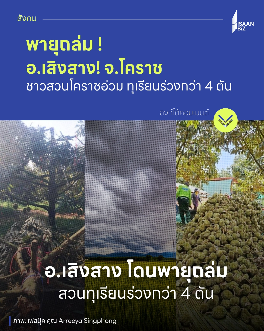 พายุถล่ม อ.เสิงสาง! ชาวสวนโคราชอ่วม ทุเรียนร่วงกว่า 4 ตัน